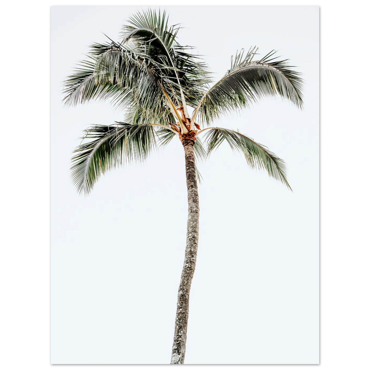 2b1d4b68-b16a-4019-947b-7119fcbc0cc7