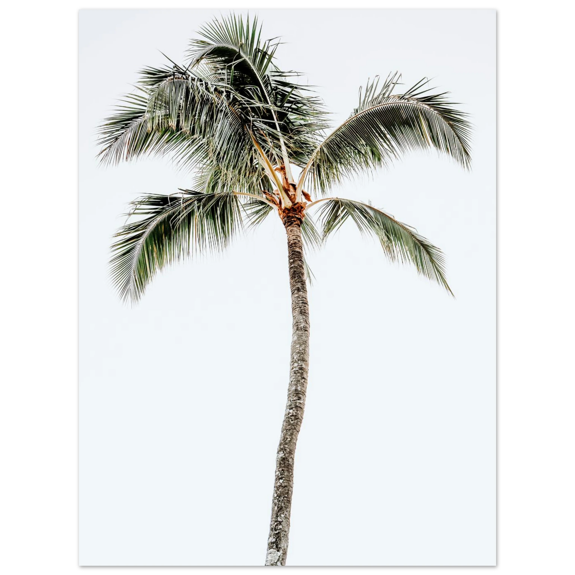 2b1d4b68-b16a-4019-947b-7119fcbc0cc7