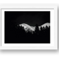 403 — framed
