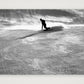 453 — A3 (42×30cm, 17×12") Print only