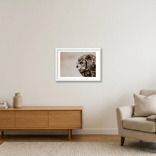 486 — A3 (42×30cm, 17×12") White Frame