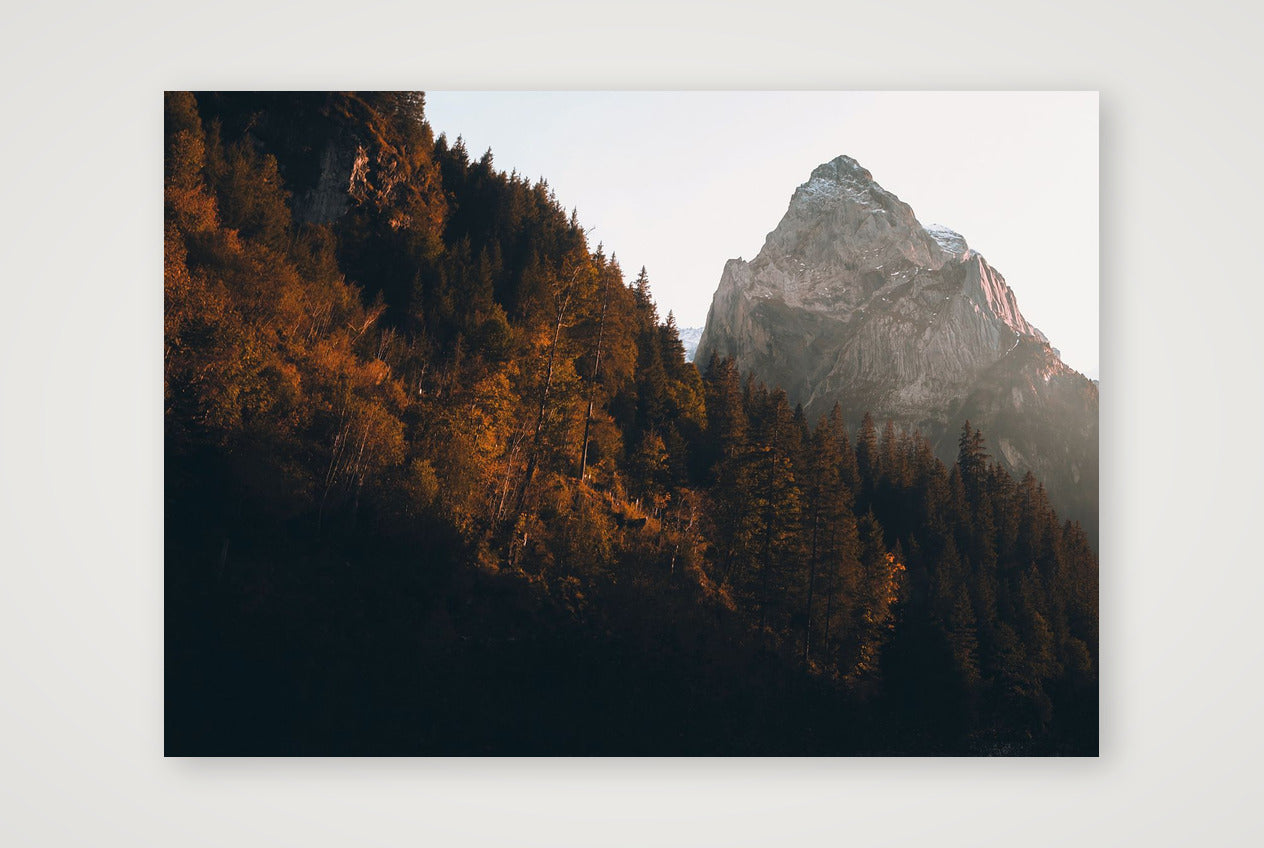 1285 — 59×42cm, 23×17" Print only