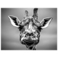 2c7de413-d01b-4df6-835e-d340fa9415b8
