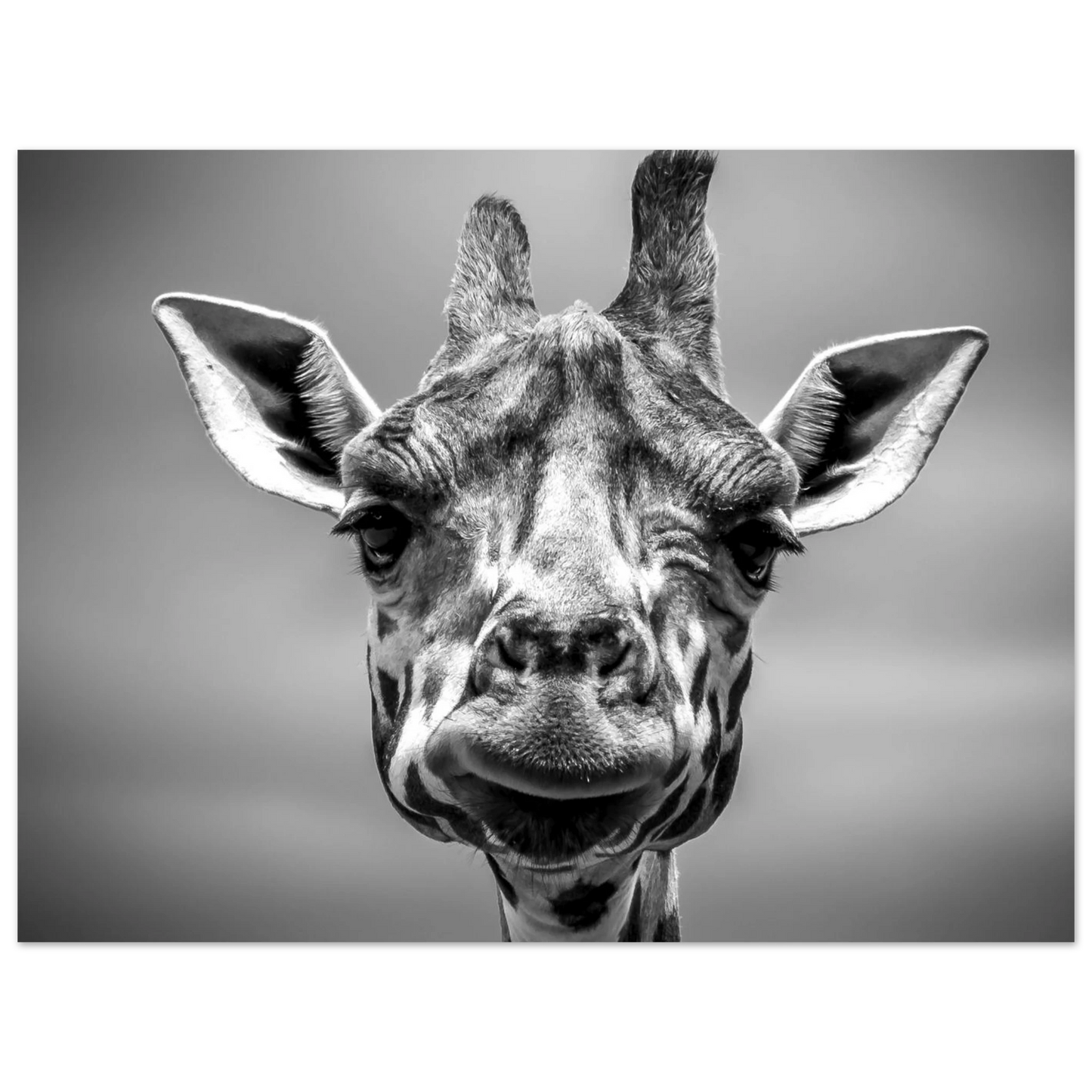 2c7de413-d01b-4df6-835e-d340fa9415b8