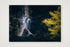 1309 — A4 (30×21cm, 12×8") Print only