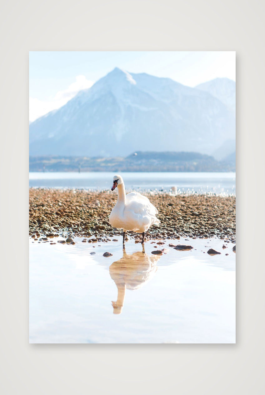 479  — A3 (30×42cm, 12×17") Print only
