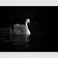32 — 59×42cm, 23×17" Print only