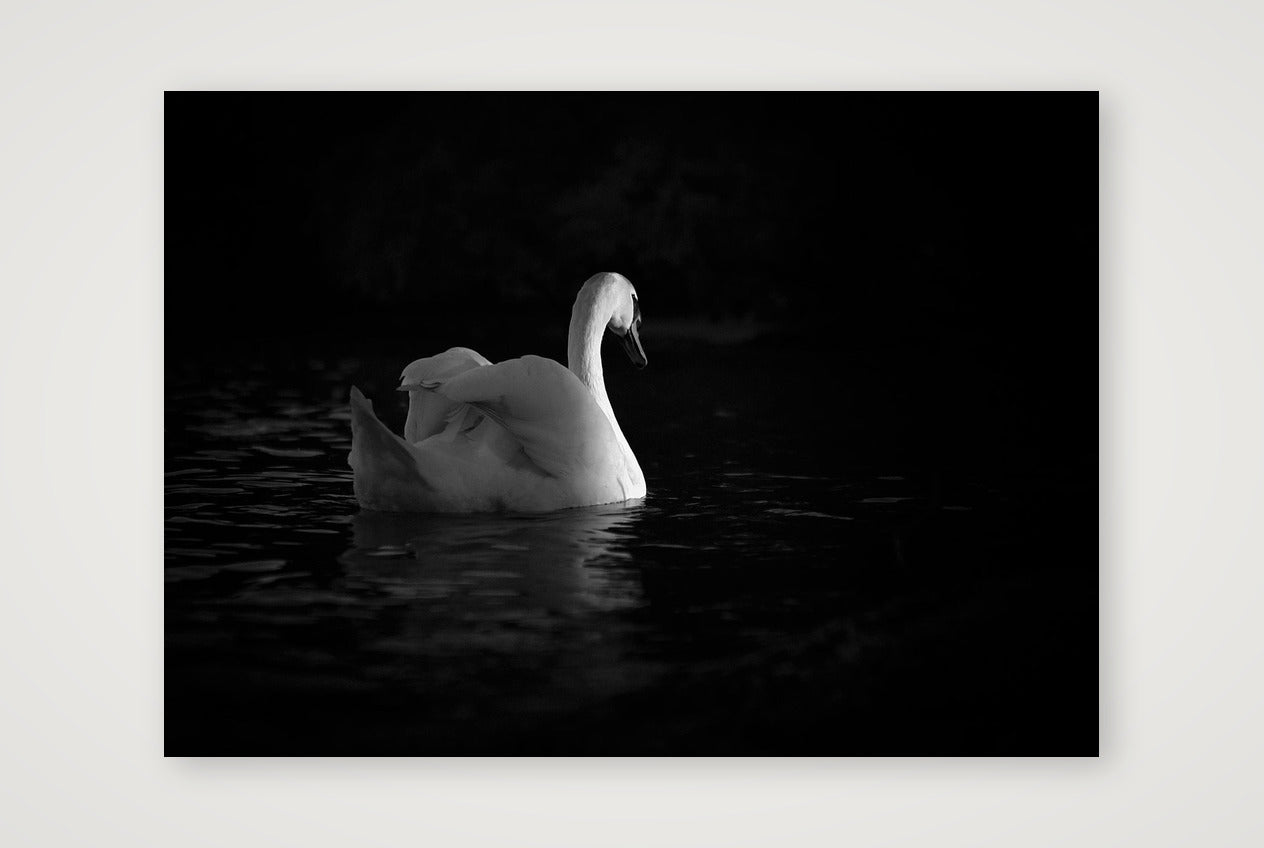 32 — 59×42cm, 23×17" Print only
