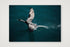 1284 — A4 (30×21cm, 12×8") Print only