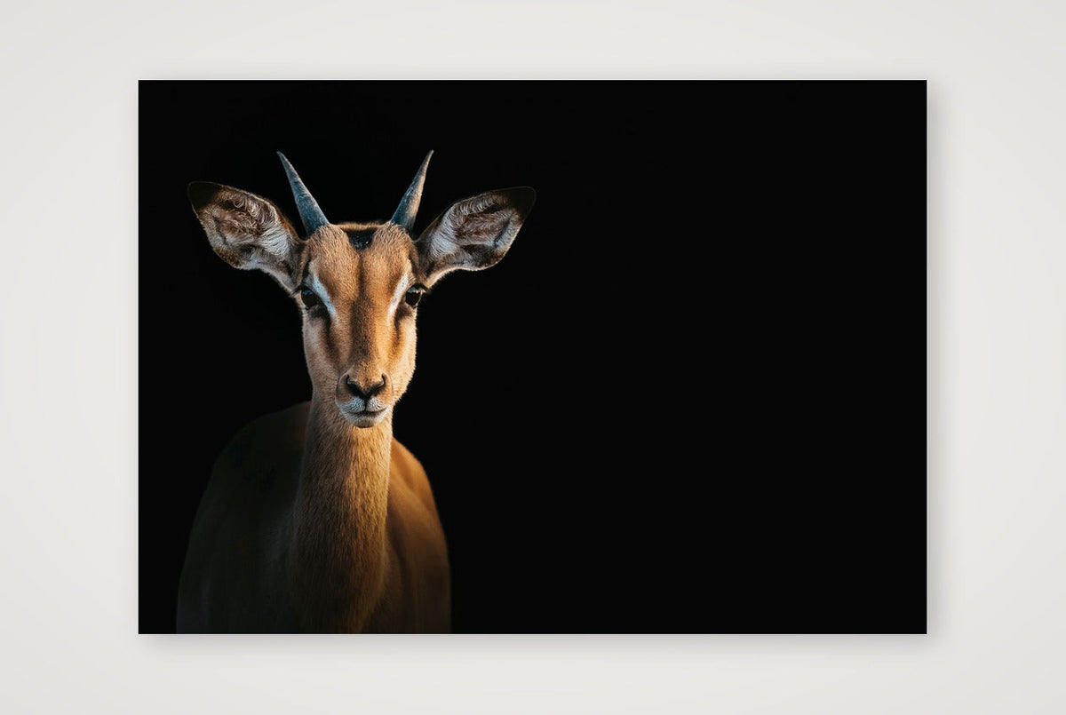 117 — 84×59cm, 33×23" Print only