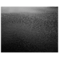 2f2aa0c9-56de-477b-a58d-ca9c1b1562c2