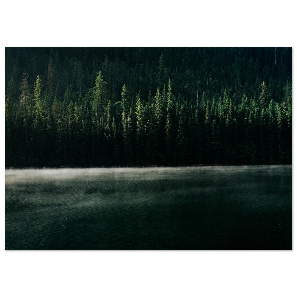 Misty Lake Morning Forest - Premium Semi-Glossy Paper Poster in various sizes PD_310