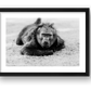 71 — framed