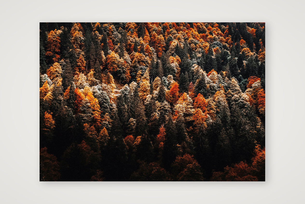 15 — A4 (30×21cm, 12×8") Print only