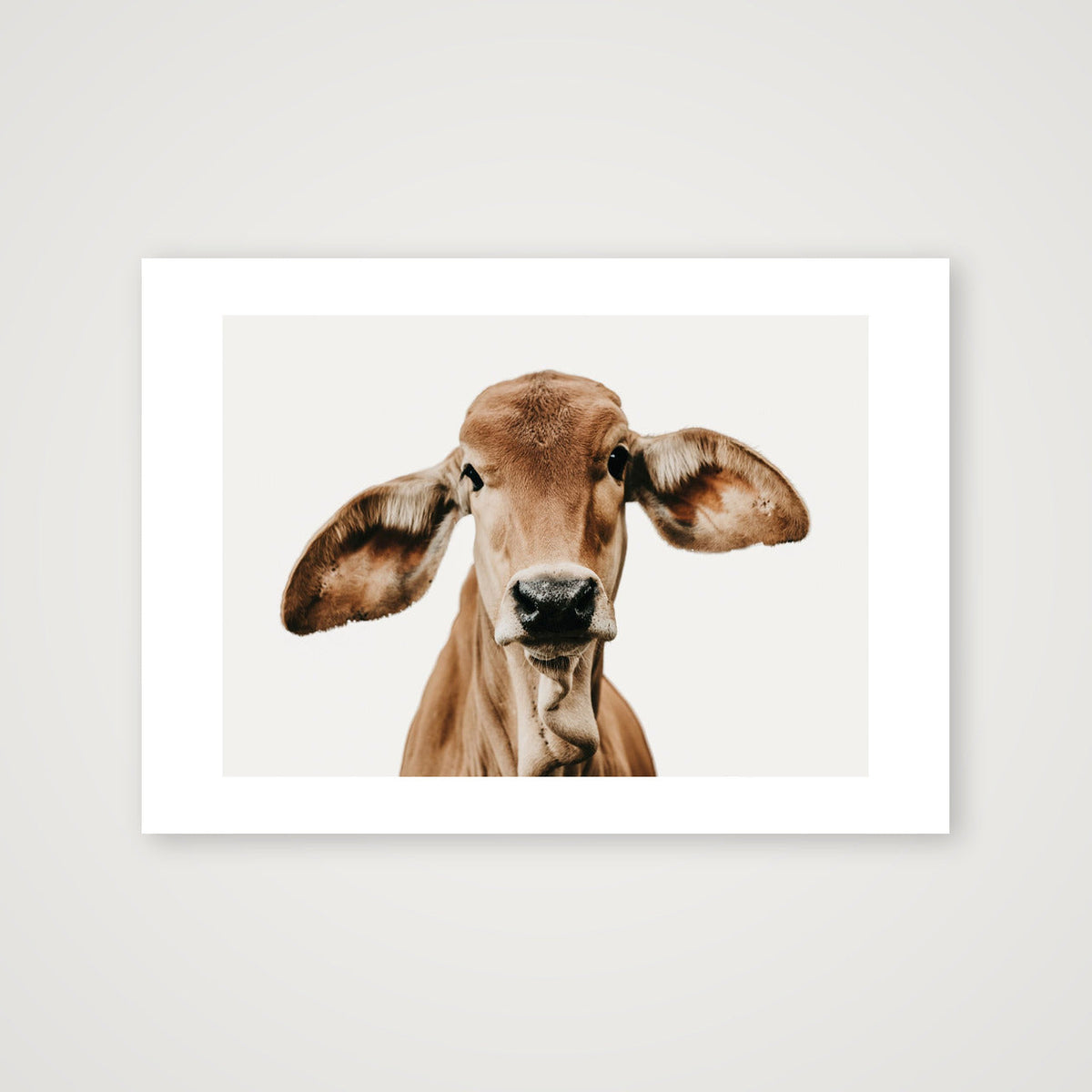 1317 — 59×42cm, 23×17" Print only