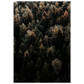 2fbe2768-943c-4ae2-b45f-11d2c8a7deed