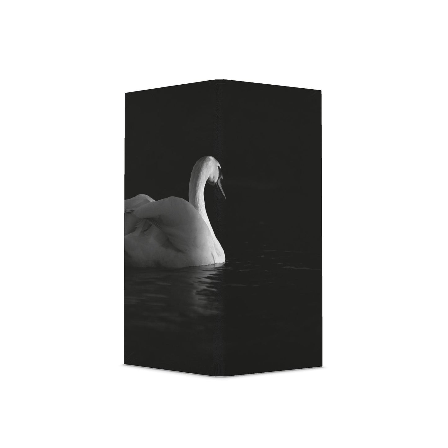 Folding Screen