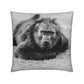 Cushions