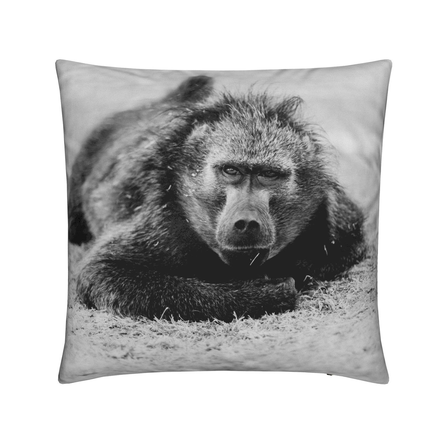 Cushions