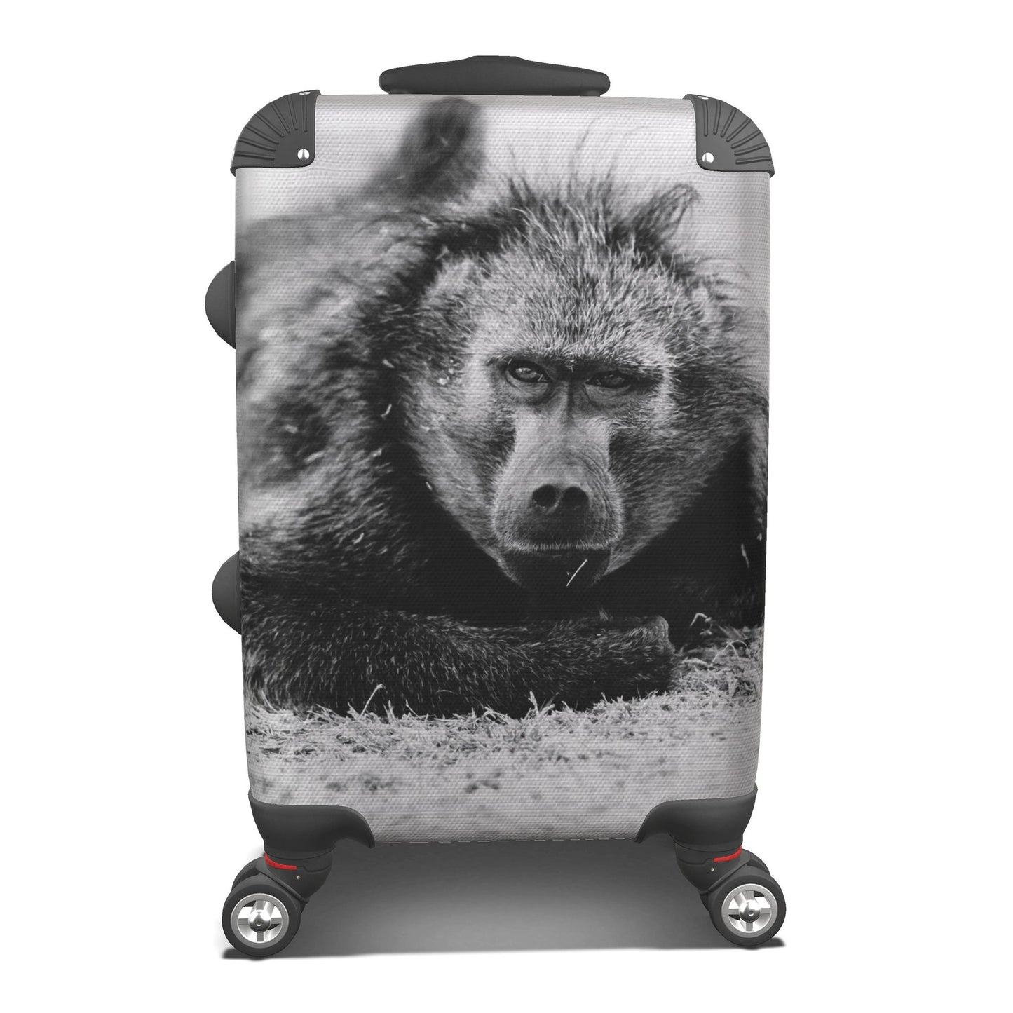 Suitcase