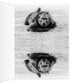 8 ¼" x 11 ¾'' Greeting Card