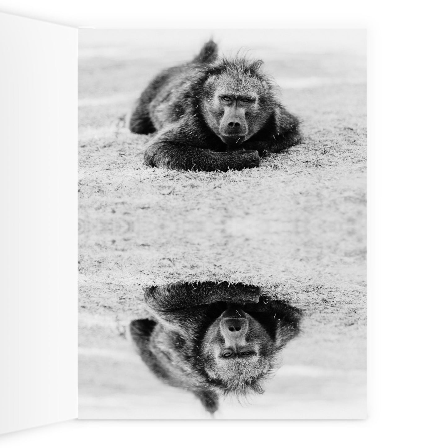 8 ¼" x 11 ¾'' Greeting Card