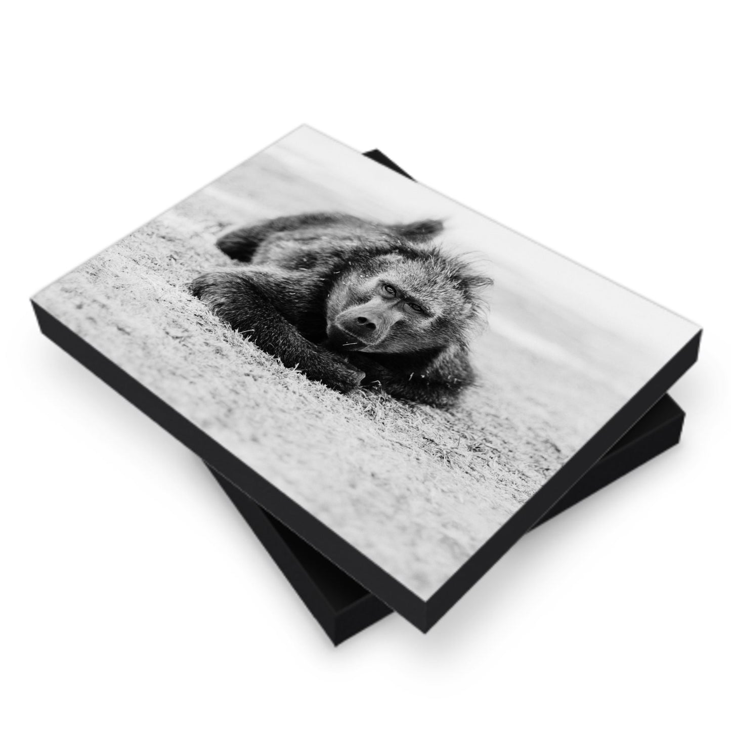 Picture Book Box