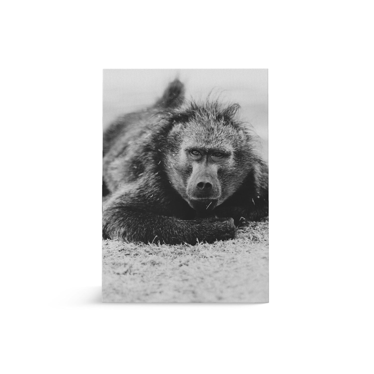 Giant Greeting Card
