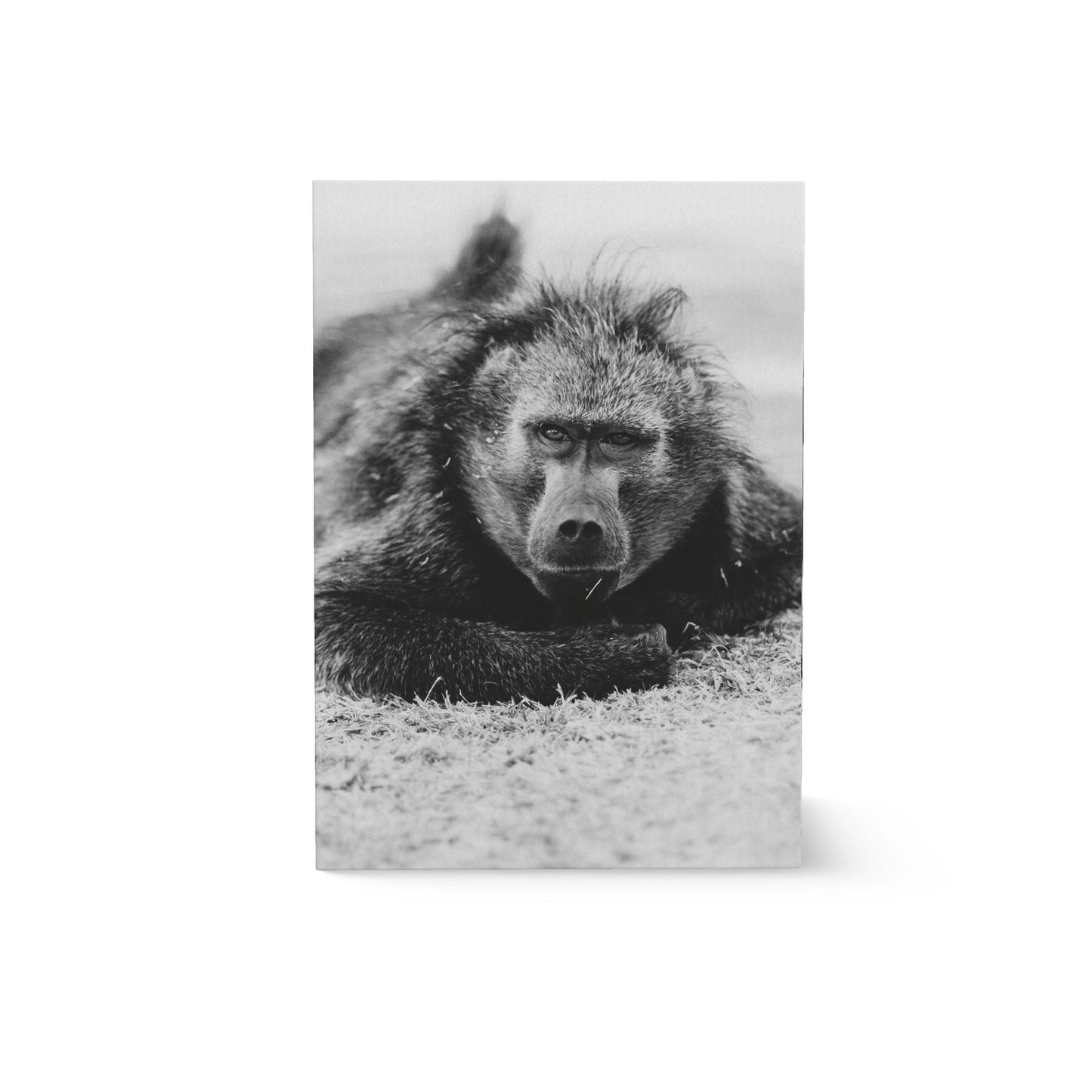 Giant Greeting Card