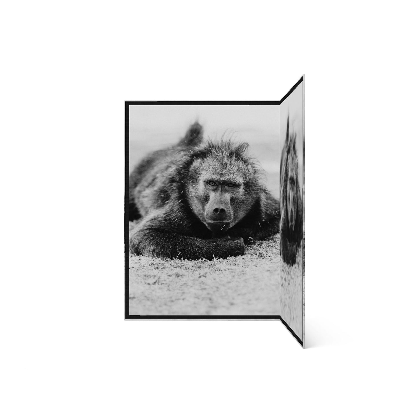 Giant Greeting Card