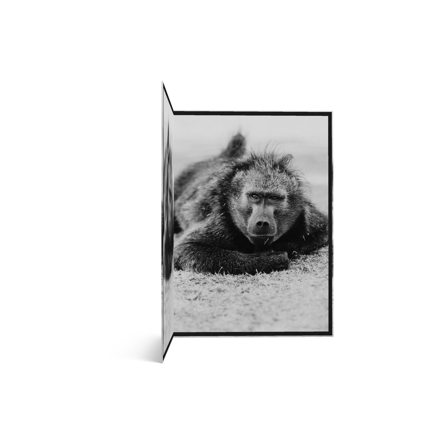 Giant Greeting Card
