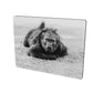 Mouse Pad