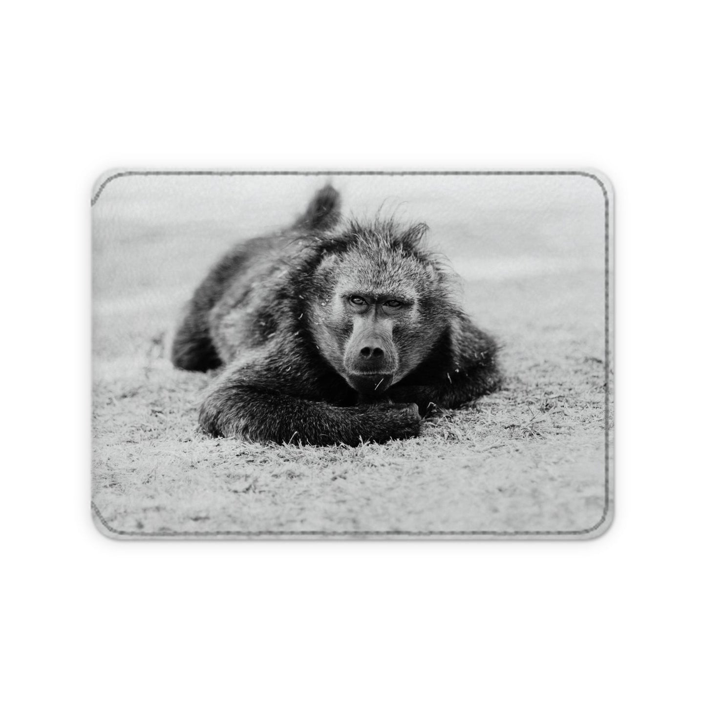 Leather Card Case