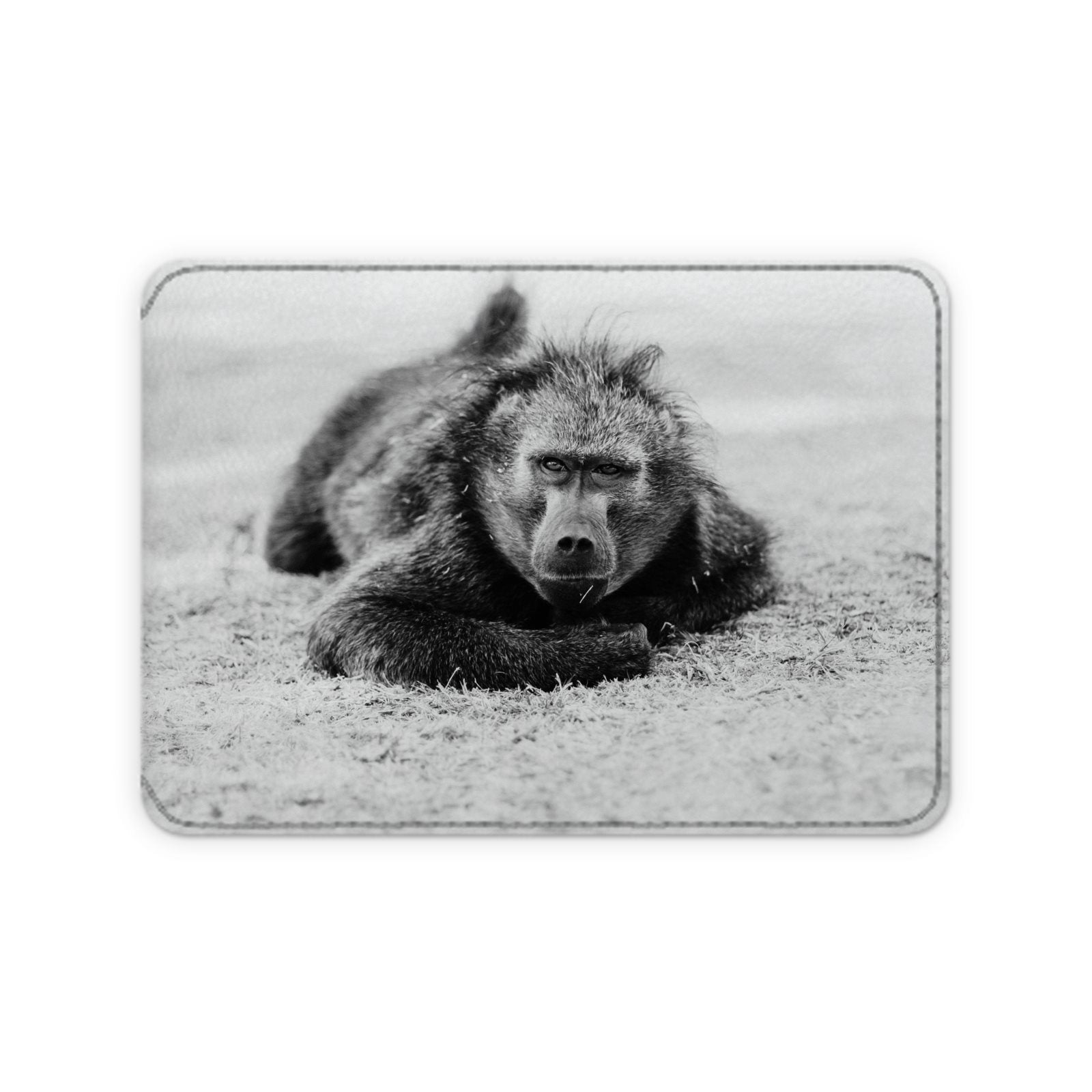 Leather Card Case