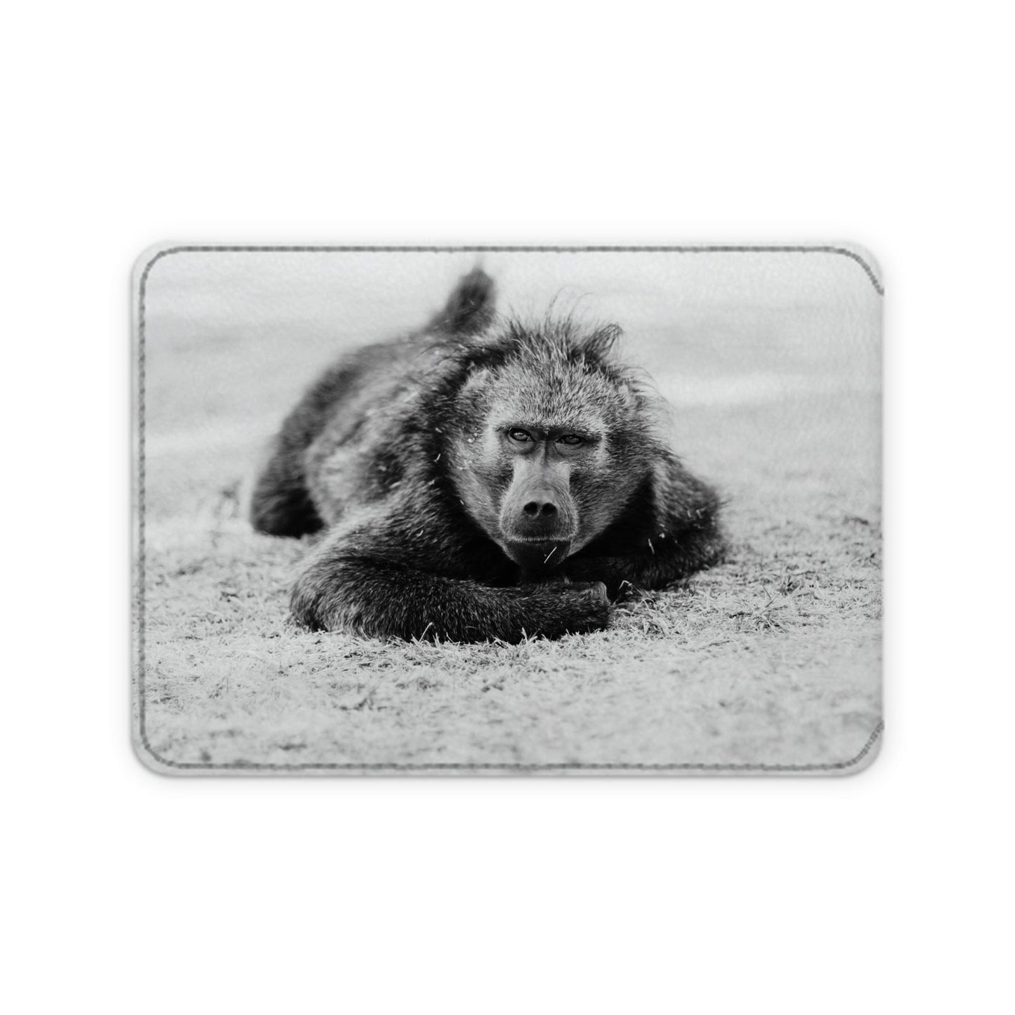 Leather Card Case