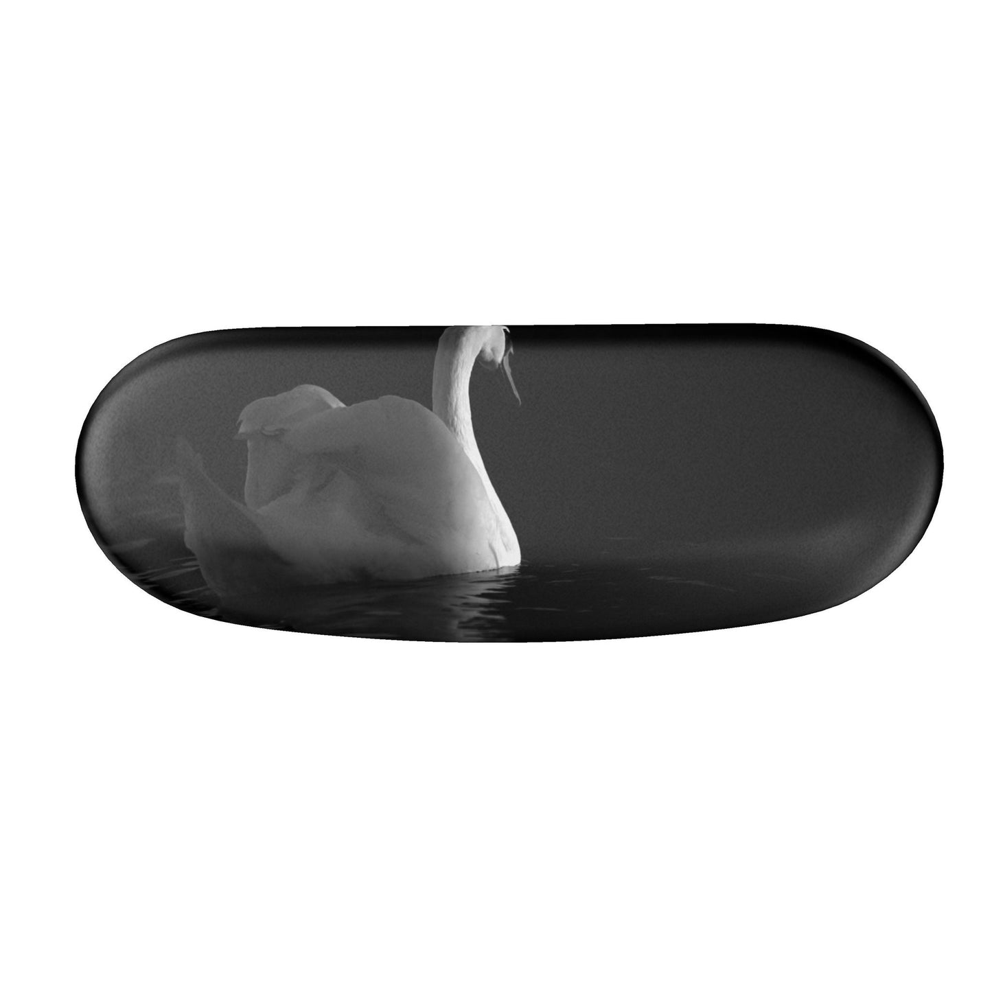 Hard Glasses Case