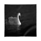 Glasses Cleaning Cloth