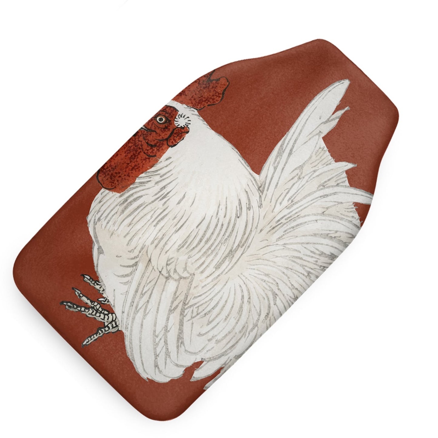 Hot Water Bottle