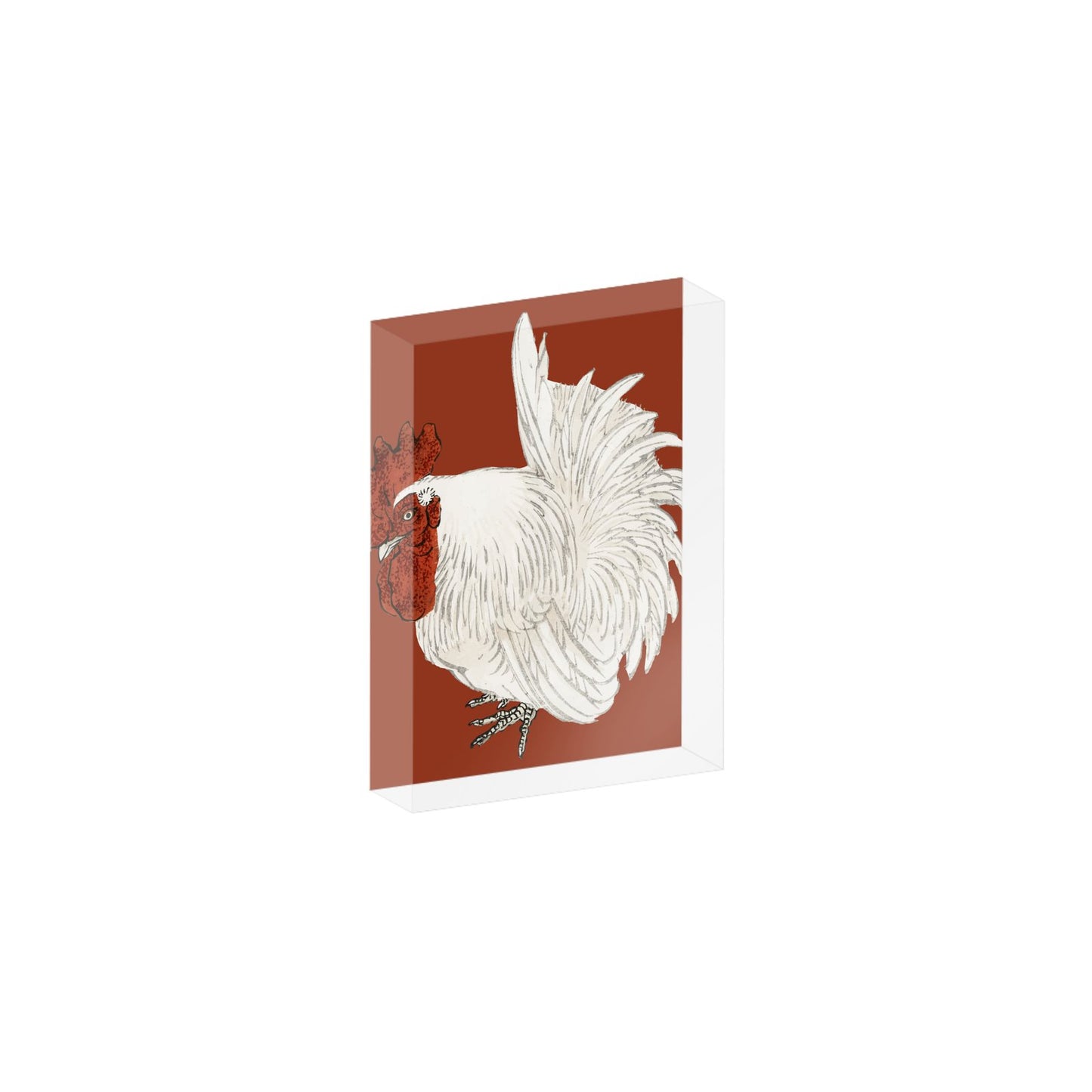 Acrylic Photo Blocks