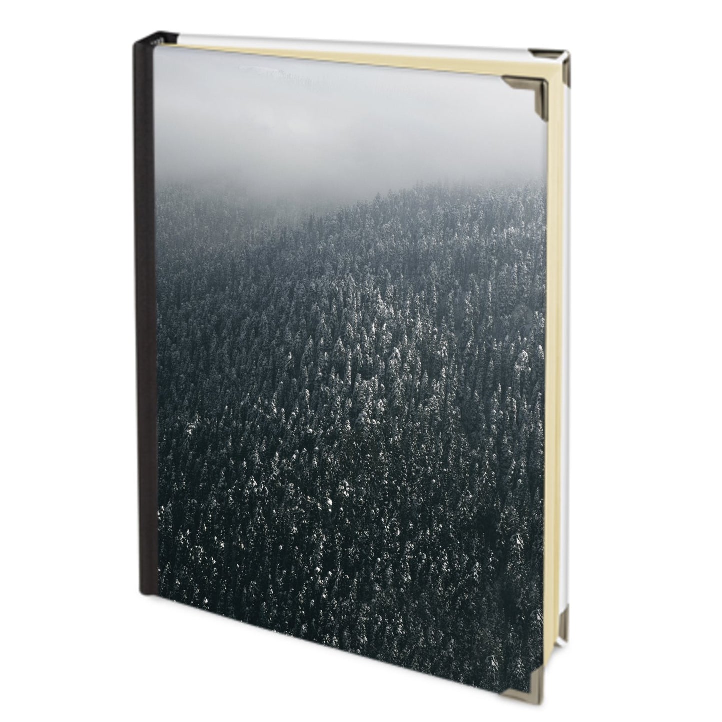Address Book