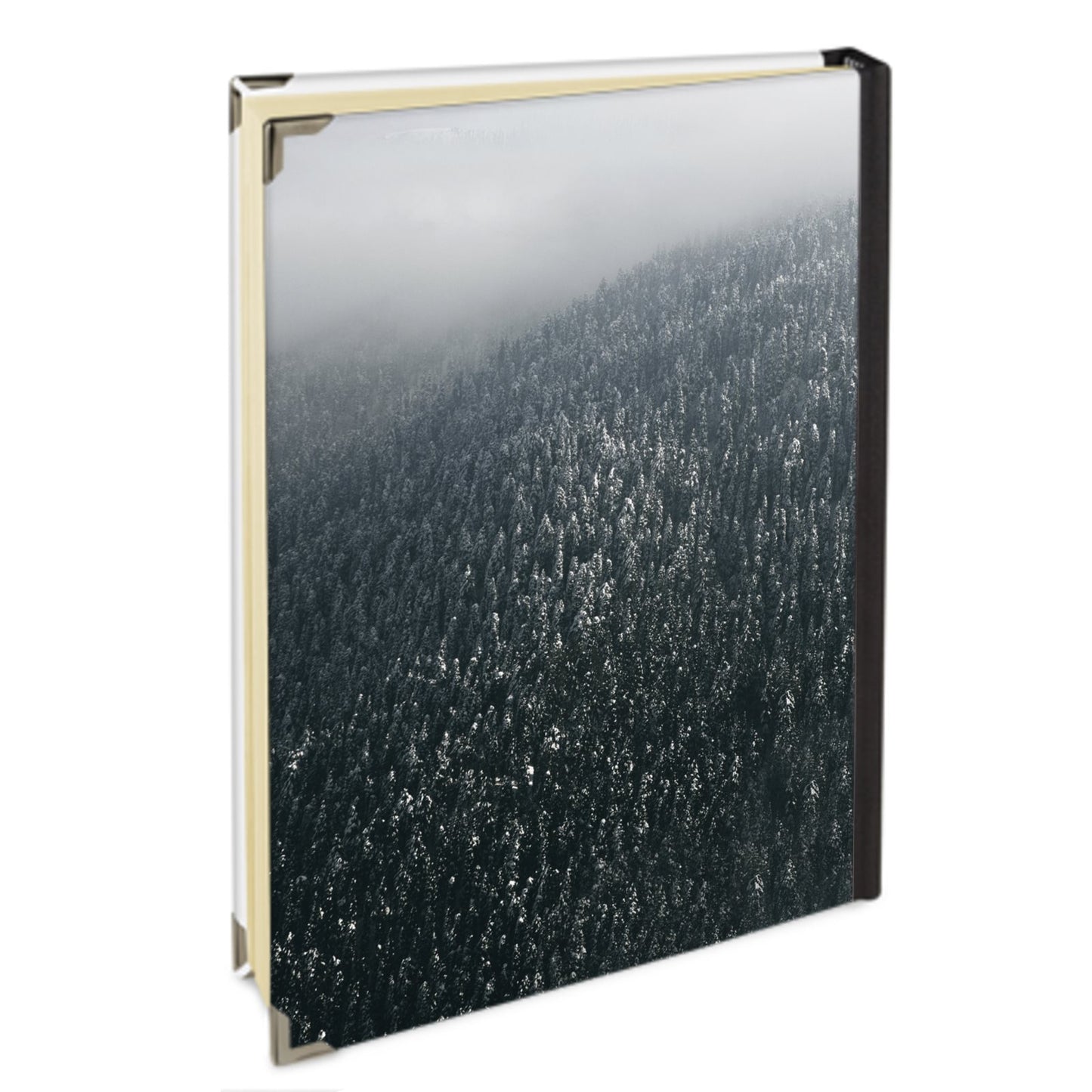Address Book