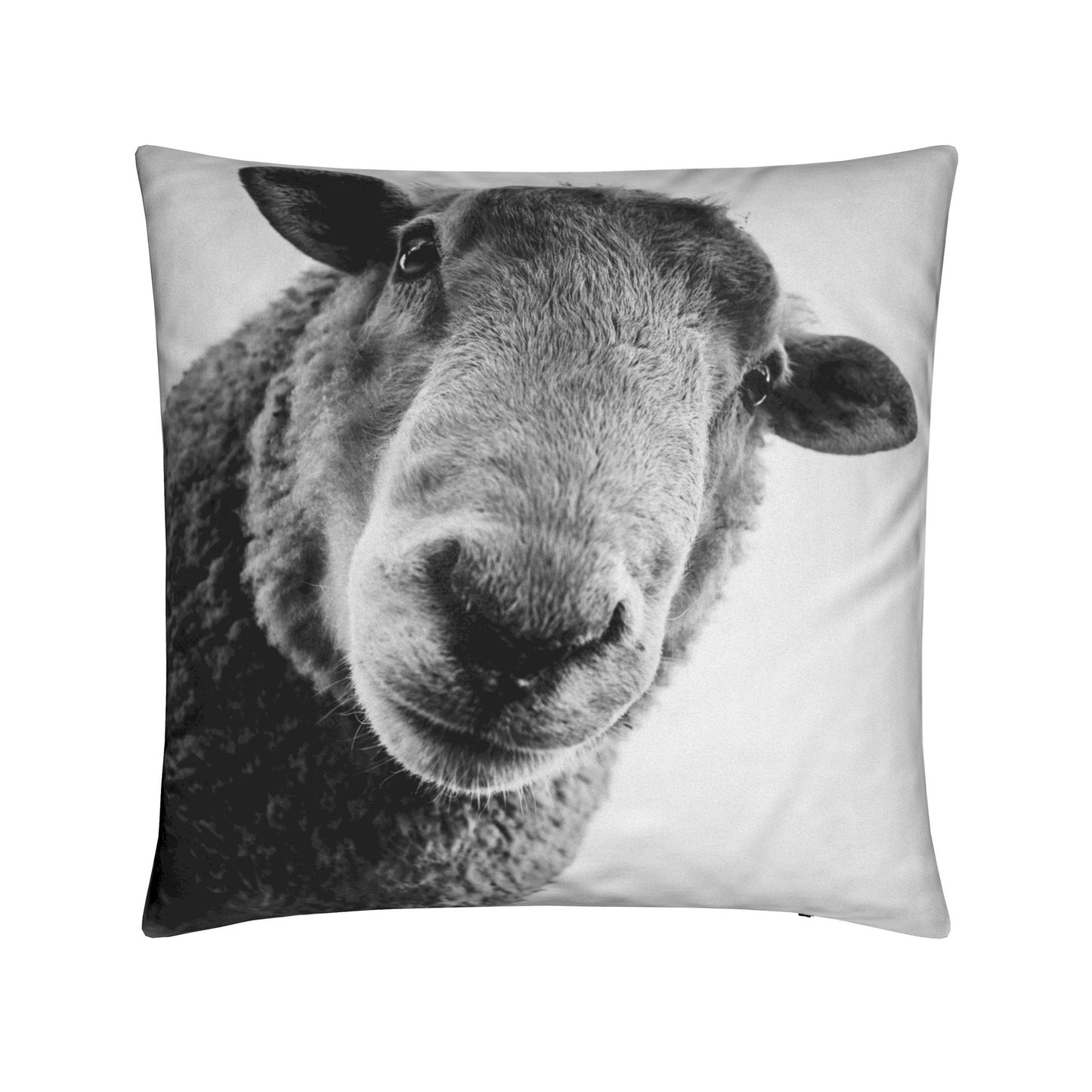 Cushions
