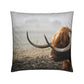 Cushions