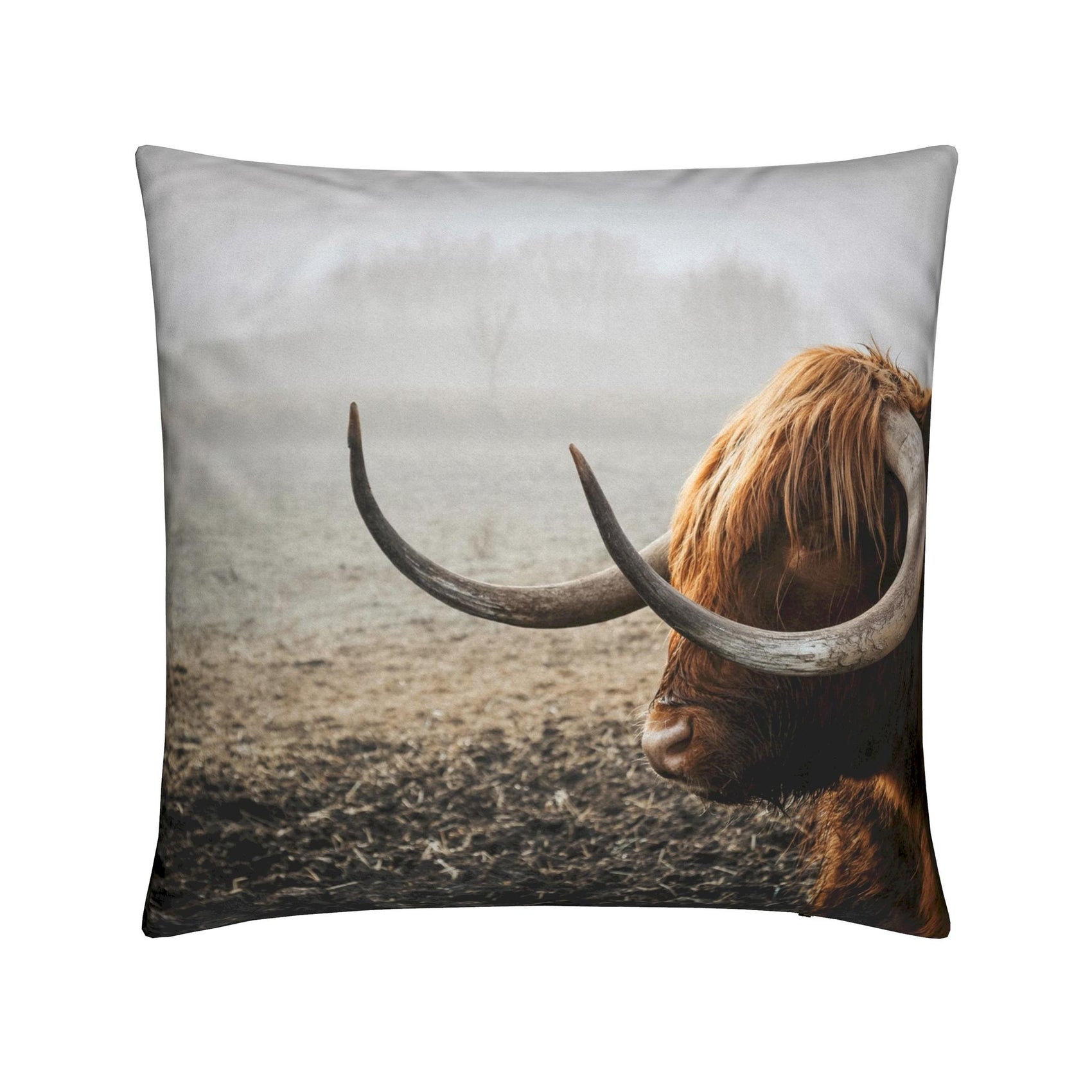 Cushions