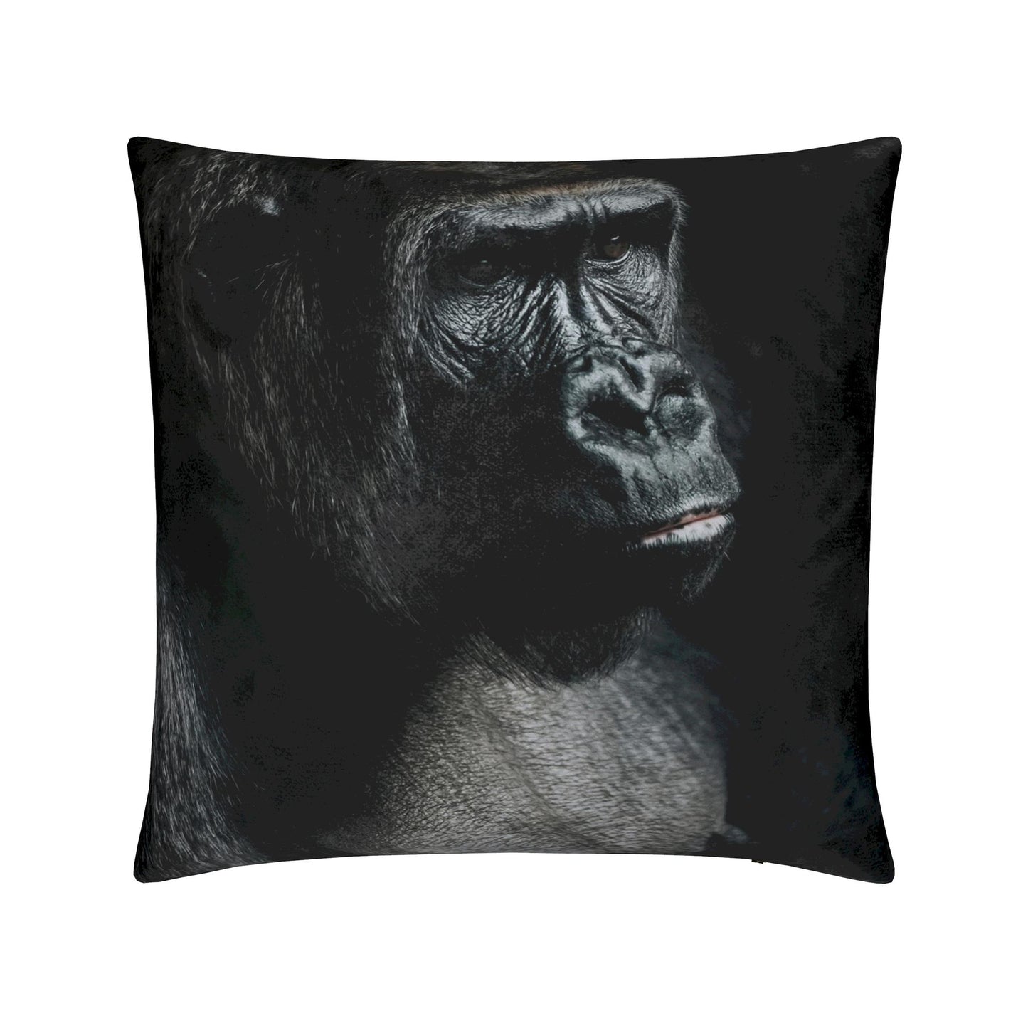 Cushions
