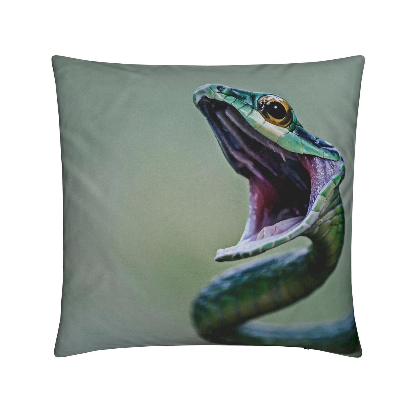 Cushions