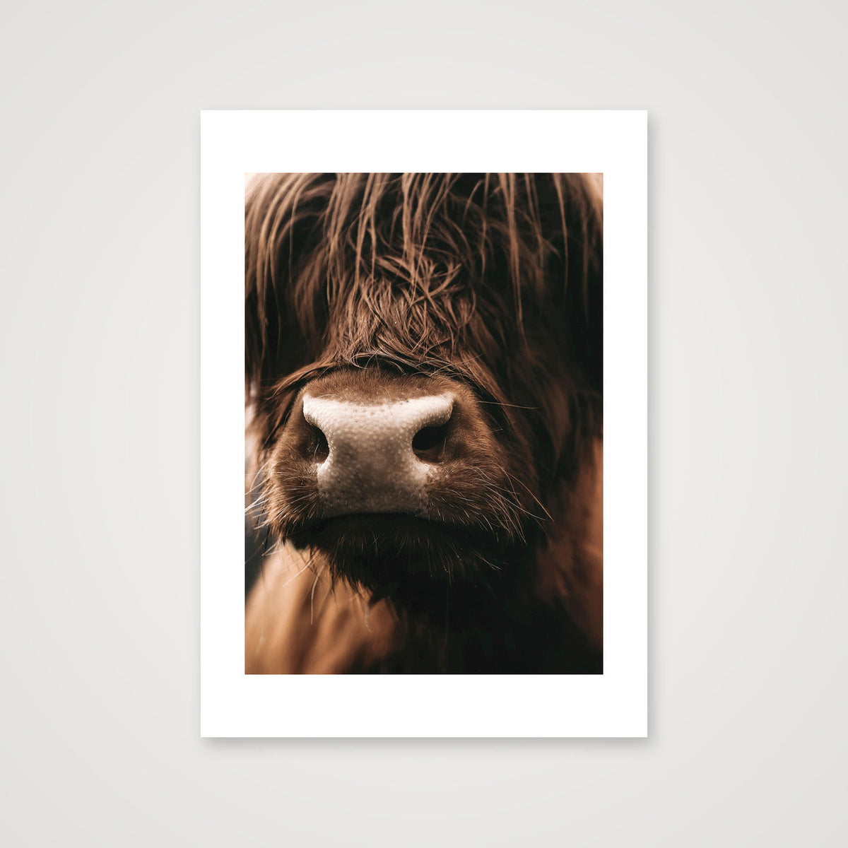 1585  — 42×59cm, 17×23" Print only