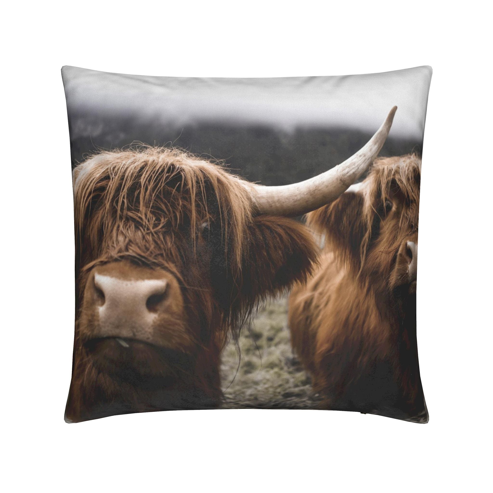 Cushions