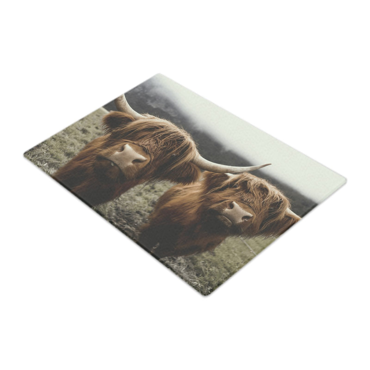 Glass Chopping Boards