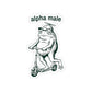 Funny Frog Sticker Gift For Dad Alpha Male Meme Decal Gift For Male Friend Cute Frog on Scooter Laptop Sticker Sarcastic Humor Gift Friend